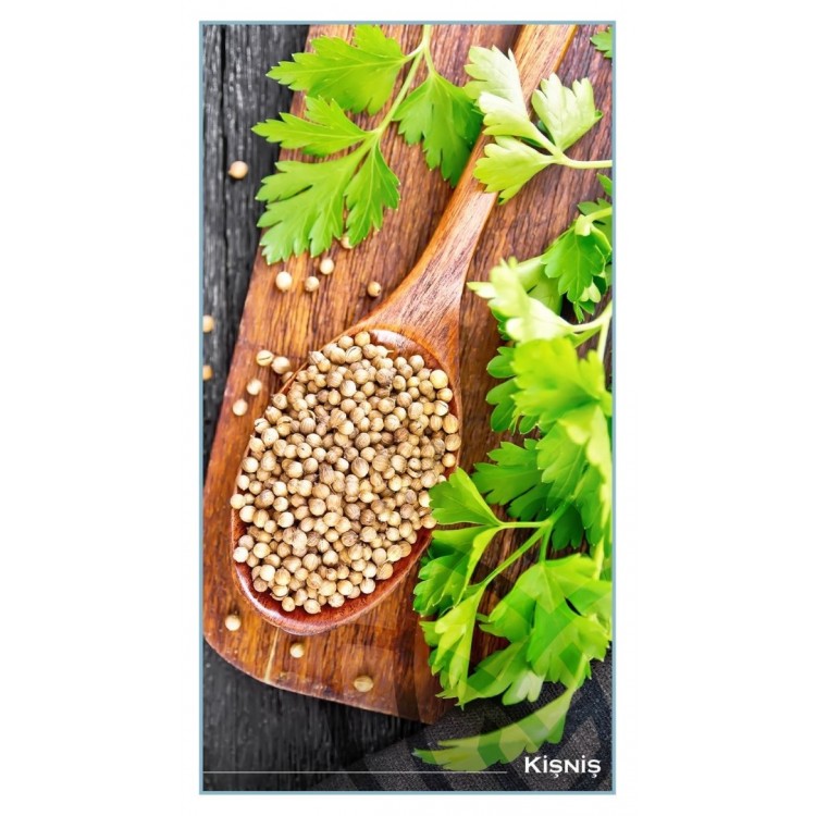 Tane Kişniş -100gr.- Tane Kişniş -100gr.-