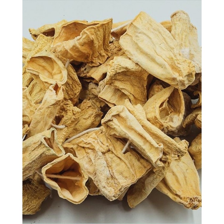 Kuru Kabak Dizisi -50ad-